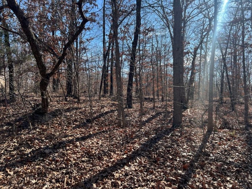 Level, build-ready lot in Bella Vista with mature trees offering privacy and natural beauty. Conveniently located near Pea Ridge, AR, with the backside of the property bordering Grosvenor, a main road for easy access. Just 5 miles to Pea Ridge shopping and fast food, and only 8 miles (about 15 minutes) to the Jane, MO Walmart Supercenter.