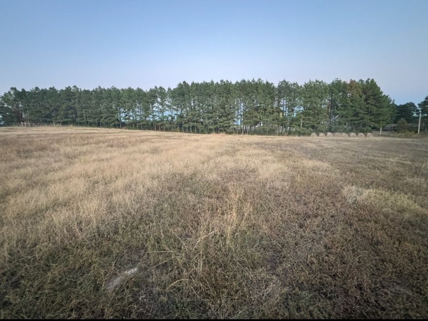 RARE OPPORTUNITY! 30 acres of beautiful pasture land right in the heart of Hector. Whether you're seeking a peaceful retreat or a productive farm perfect for cattle this property offers the best of both worlds.