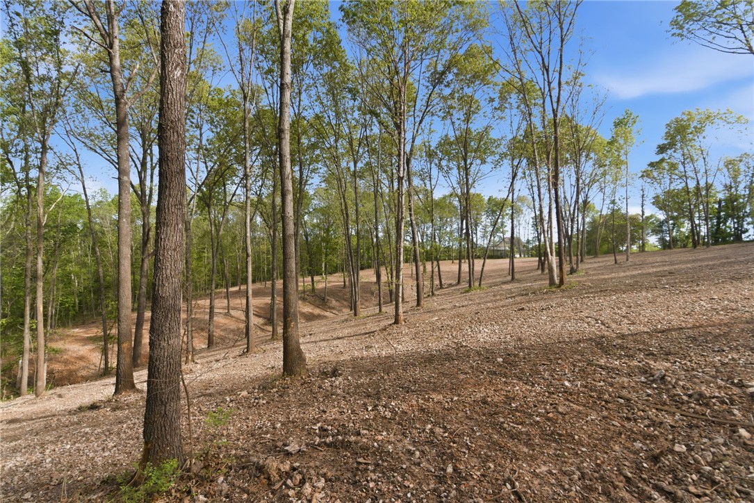 Woodridge Manor - Land