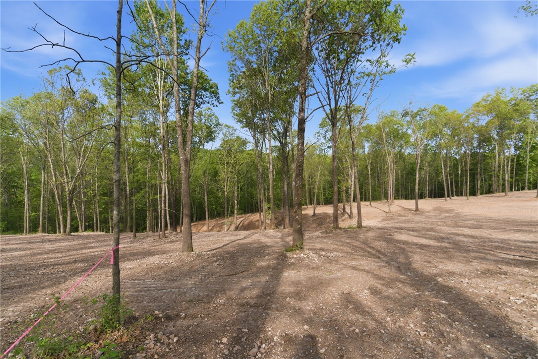 Woodridge Manor - Land