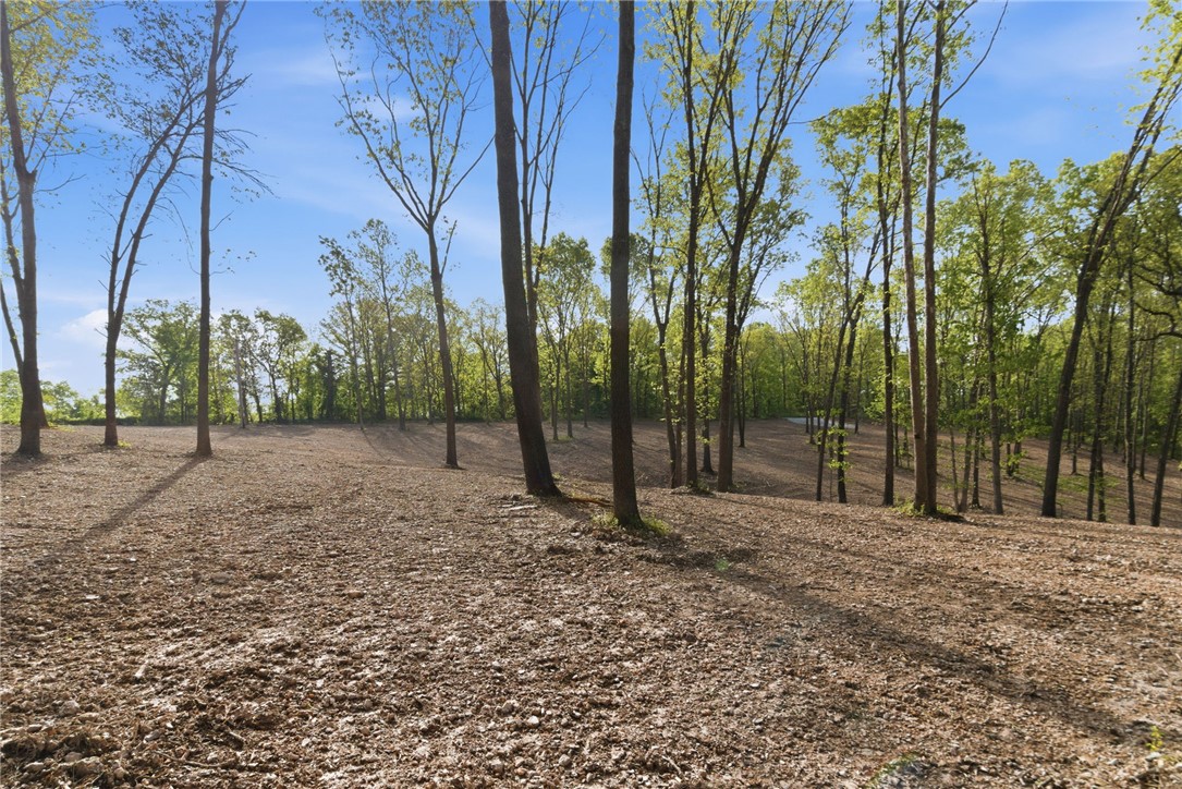 Woodridge Manor - Land