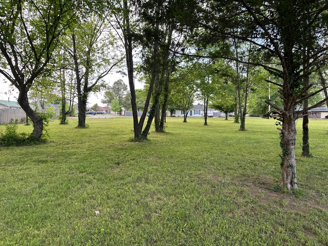 14-20-33-Gravette - Land