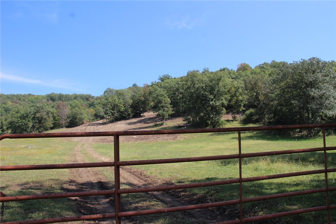 Hunters' paradise! Hogs, deer, turkey, can be seen on these 106 acres. Property has approx. 80-90acres of wood with several cleared areas. Trails are cut throughout the land. Several spots on top of the mountain to clear and build your dream home with a beautiful view. There is a small field that can be used for hay. 2 ponds, one on the lower part of the property and one on top of the mountain. A creek runs through a portion of the acreage as well. The property has been used in the past to run cattle, and the opportunity to clear for more pasture is an option. A creek has to be crossed in your vehicle about 4 times on the way to the property as the county road winds back and forth across it. Sometimes it
has water in it and sometimes it is dry.