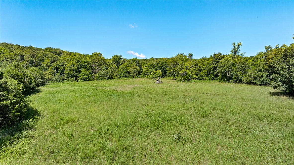 Amazing property gives you peace and tranquility as soon as you enter the rock wall drive with birds chirping and rustling of leaves, nestled in a scenic valley. This property has a pond and fenced-off area to use for horses or a small farm, large garden, etc. In the winter you can see the deer splashing each other in the seasonal creek. Hunting. You can view the rock-climbing mountain from the front porch. Bird watching. Old horse stable. This wonderfully secluded home is well-maintained and gives you a cabin feel.