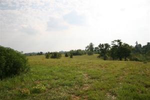 This is a great location to build a new home with lot size from 5.18 acres to 20 acres. City water. Just off paved road. Views!! Only 15 miles from Harrison. DSL is available.