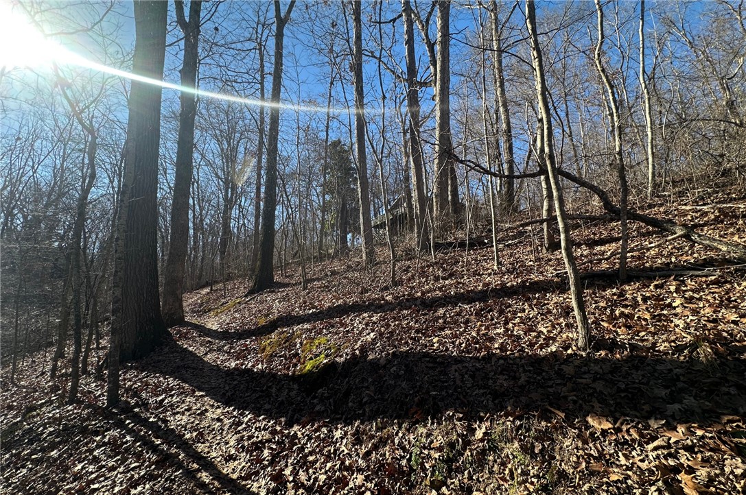 Essex Sub Bvv - Land