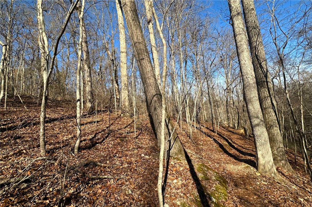 Essex Sub Bvv - Land