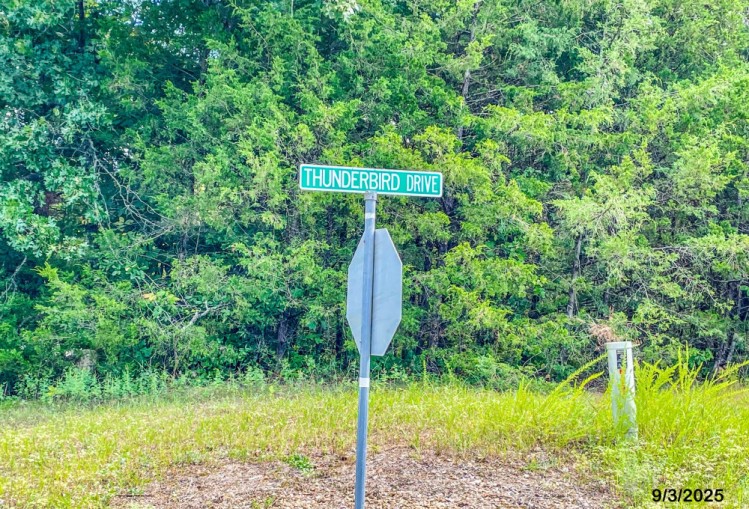 Unit 7 Holiday Island - Land