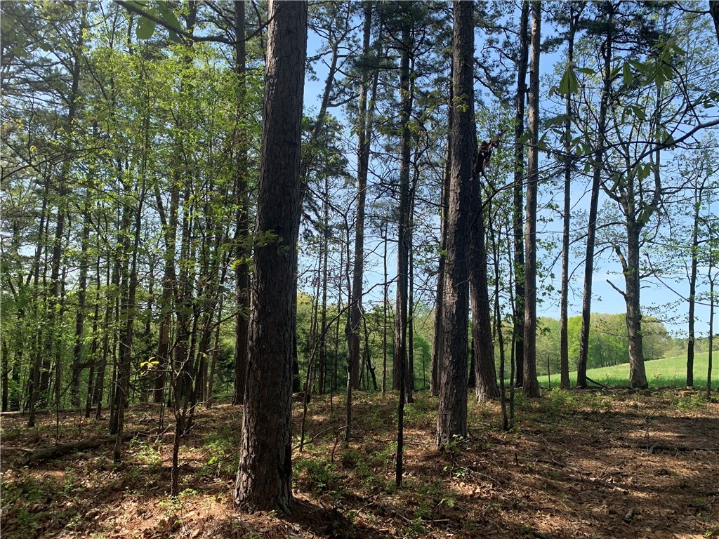 Secluded 10.57 acres with a nice building site for home or cabin getaway at end of Evans Lane on top of the ridge. Water line (Benton County Water Authority #5) and electric (Carroll Electric) at property with views to beautiful mature woods or adjacent open pasture. Currently enjoyed for recreational hunting and abundant wildlife and also has a cave on the property. Near Hobbs State Park and Beaver Lake. Pre-approval letter must be submitted with offer.