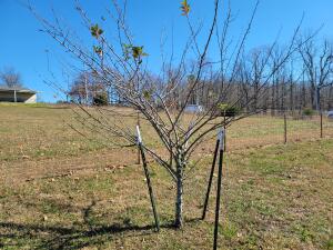 Hilltop Estates - Residential