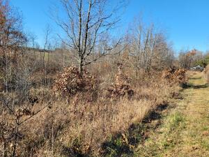 Hilltop Estates - Residential