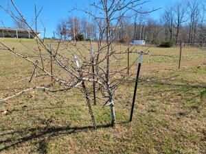 Hilltop Estates - Residential