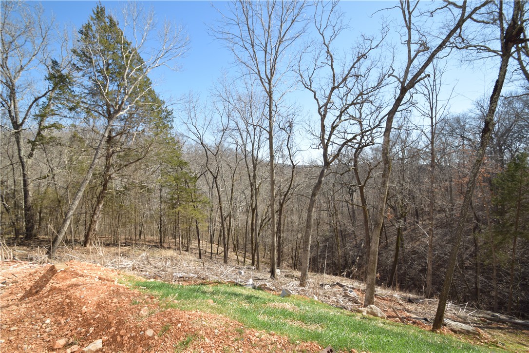 Stone Ridge Estates Rurban - Residential