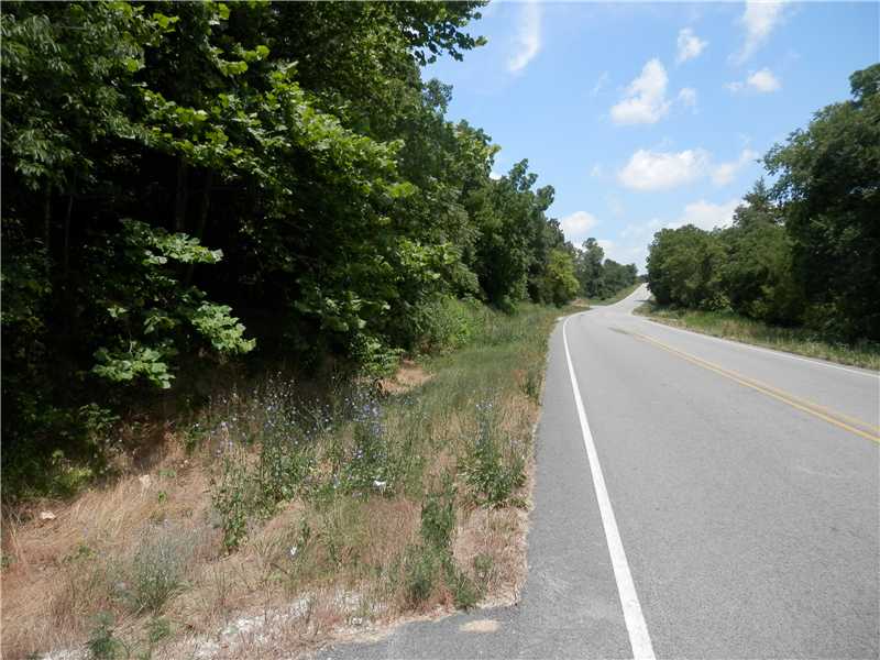Nice wooded land with lots of wildlife for hunting and/or lots of building sites.