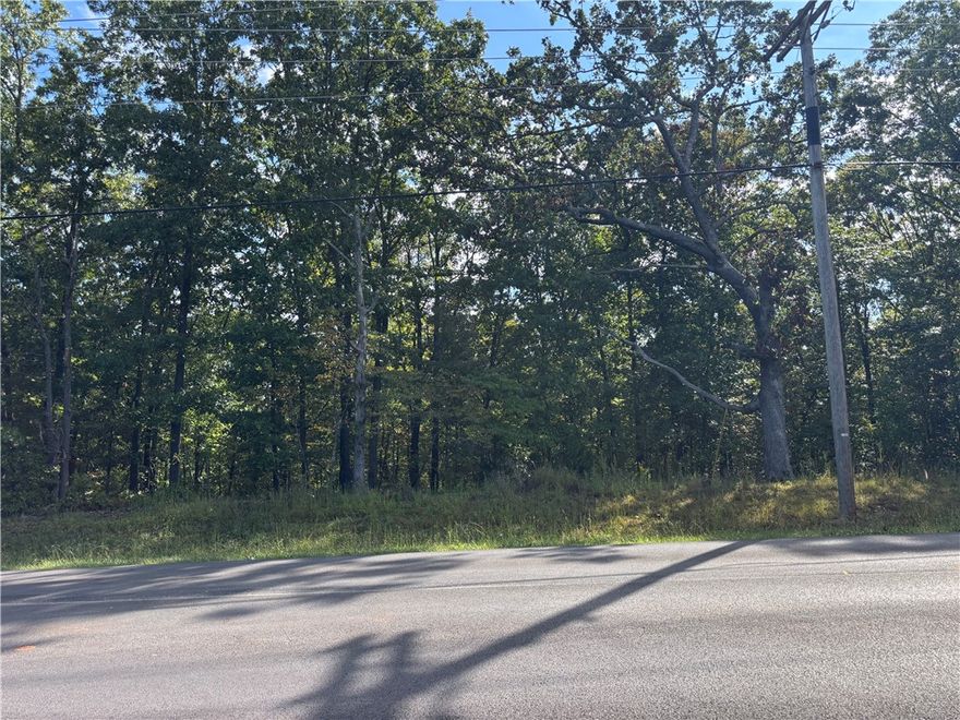 Large .44-acre property in a fantastic location! Just 3–4 minutes from the Back 40, SBAT, and Pinyon Bike Trails, 7-8 minutes from Blowing Springs Park, Lake Brittany and the exciting new family-friendly OZ Trails Bike Park with gravity trails and chair lift! Whether you’re ready to build your dream home or looking for a smart investment, this property is a winner. This lot can be purchased by itself or with the property next door. Buy both and enjoy nearly a full acre!