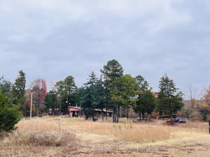 INVESTORS LOOK HERE, 20 acres and a over 2000 sq. ft. Home for under 200,000! If you've been waiting for the perfect fixer upper this could be it! Large Living room, Big Kitchen with pantry and dinning room. 4 Large bedrooms, 1 full bath and 1 half bath off the laundry room. Small office too! With some work this would make a great investment. On the land you will find a work shop and a outbuilding. It is Close to national forest and is great hunting land. Looking for more property then next door your neighbors are selling 53 acres bordering national forest with a home and large outbuildings.