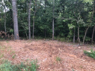Nice building lot with small slope towards the back. Lot sits just before the cul-de-sac on a quite street. Location provides numerous options for the trail system. Lot is also convenient to both Lake Brittany and Lake Ann.