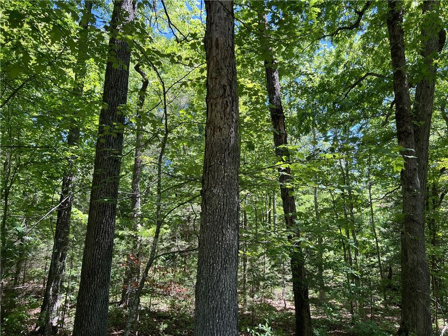 The property features a nice building site with lots of hardwood trees, NO restrictions, and has 6.31 Acres M/L. The property is southernly facing and would make a great spot to go off grid. Call today to schedule a showing.