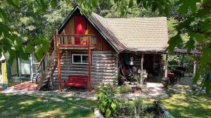Enjoy this charming cabin on a private setting just 20 minutes from Harrison. Quiet location. Beautiful old oak, redbud and walnut trees, plus a backyard bird sanctuary with two bird feeders.