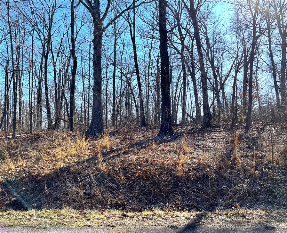 Come out and see this level lot close to Loch Lomond! Only one mile to the Granton Boat launch and two miles from Lakepoint Restaurant and Event Center, you're right in the middle of all the activity.