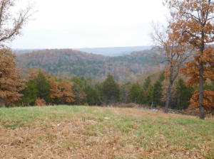 Many possibilities on this 40 acre parcel. Would make an excellent off grid property, hunting property, or to build your forever home. There is a stocked spring fed pond and opportunity for an amazing view.