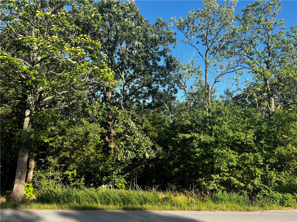 Fayetteville Outlots - Land