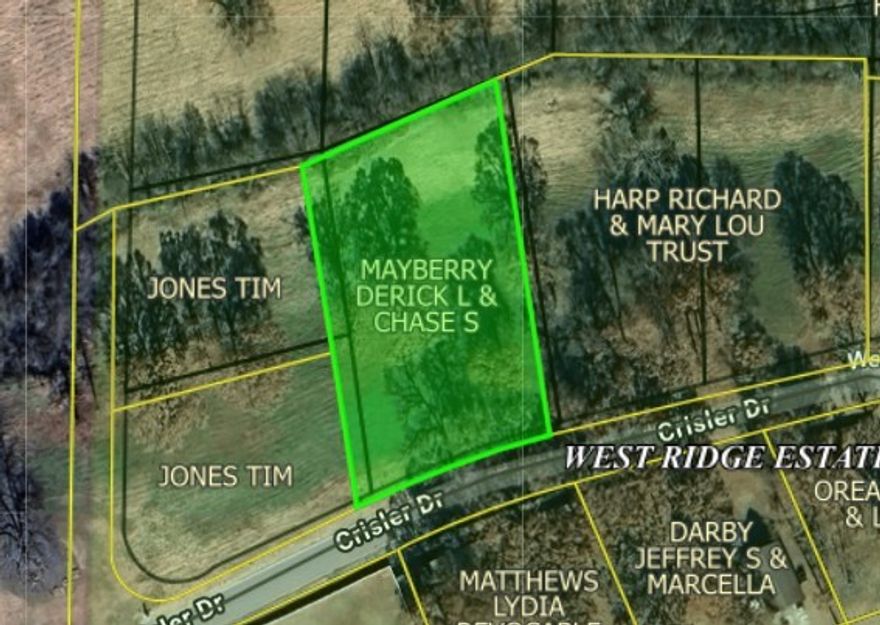 Discover the ultimate canvas for your Ozark dream in the prestigious West Ridge Estates. This prime parcel (#875-02014-000), located in the heart of Carroll County, Arkansas, offers the perfect blend of high-elevation privacy and natural character. Nestled within a community known for its breathtaking vistas and proximity to Eagles Nest amenities, this lot provides a gateway to a lifestyle of outdoor adventure. You are just minutes away from the sparkling waters of Beaver Lake and Table Rock Lake, offering world-class boating and fishing. Indulge in the culture of nearby Eureka Springs, where you can explore the historic downtown, visit the iconic Thorncrown Chapel, or marvel at the Christ of the Ozarks statue. Whether you’re seeking a weekend retreat or a permanent homestead, this property places you near the best of the Ozarks—from the winding Kings River to scenic hiking trails. Secure your piece of Arkansas beauty today!