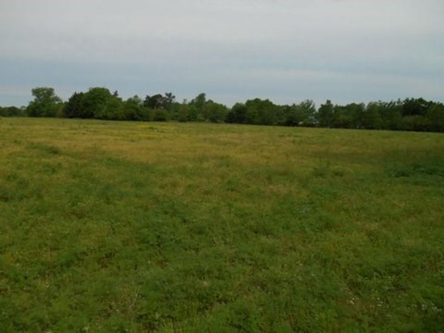 32-Acre Residential Development Property! Great opportunity for niche subdivision between Cave Springs and Gentry. 20 minutes to Bentonville, Rogers, Lowell and I-49 Corridor -- even less time to Gentry and Hwy 59 Corridor. Only 1/4 mile to both Hwy 12 and Hwy 264. Across street from Highfill’s picturesque City Park. Water, Electric, Natural Gas at street – City Sewer Service nearby. Pastoral Setting, Utilities and Convenience Amenities make this unique location a very special development opportunity!