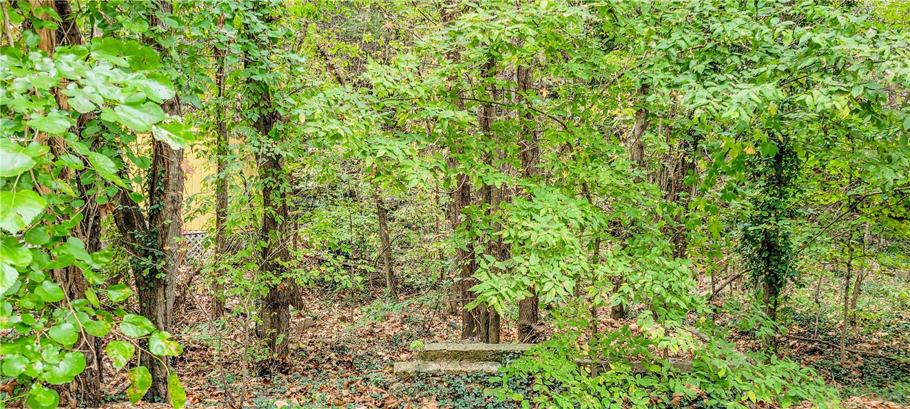 Clayton Survey - Land