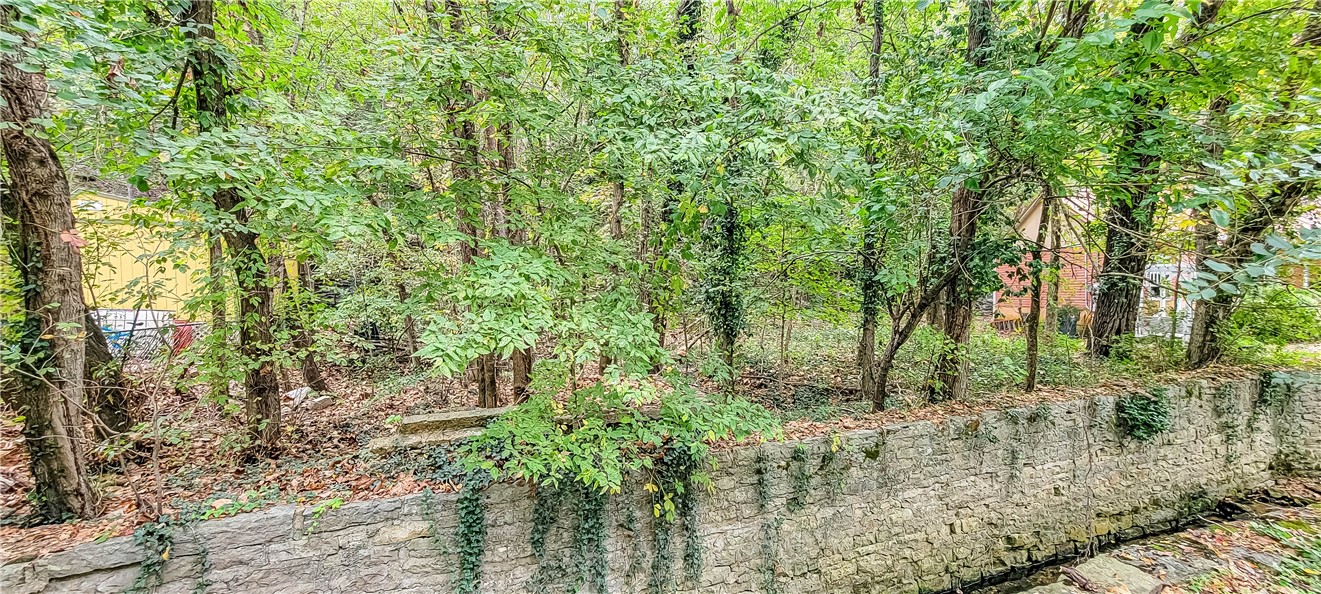 Clayton Survey - Land