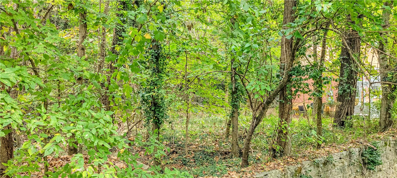 Clayton Survey - Land