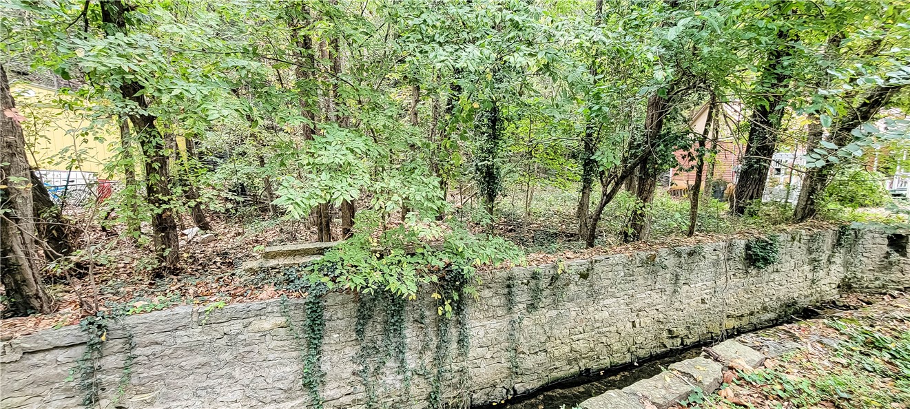 Clayton Survey - Land