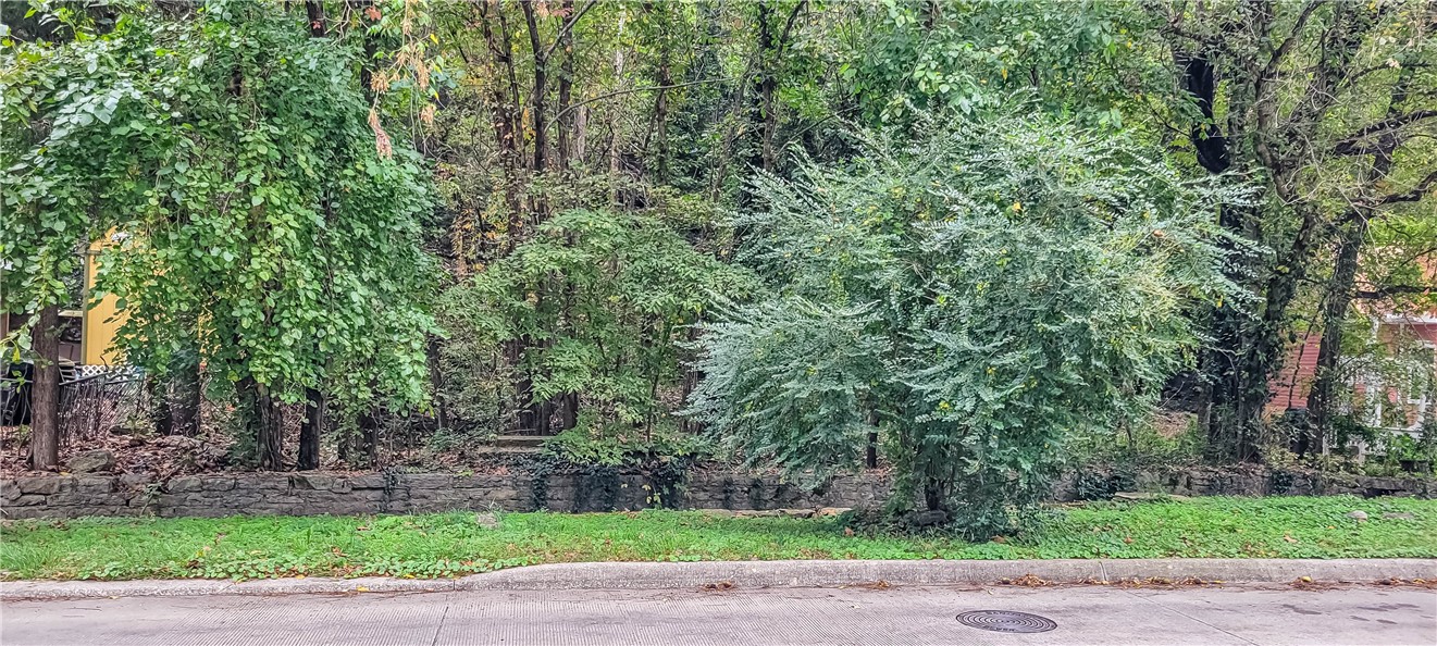 Clayton Survey - Land