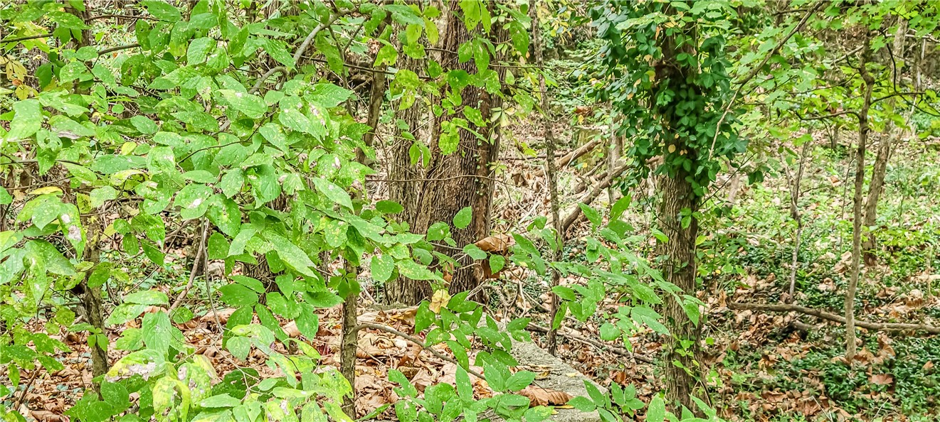 Clayton Survey - Land