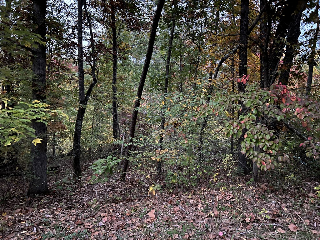 Embrace Bella Vista living on this ideal homesite! Build your dream home or investment property amidst a wealth of amenities: fine dining, 99 golf holes, beaches, disc golf, parks, swimming pools, and vast trailsāoffering a lifestyle of leisure and adventure!