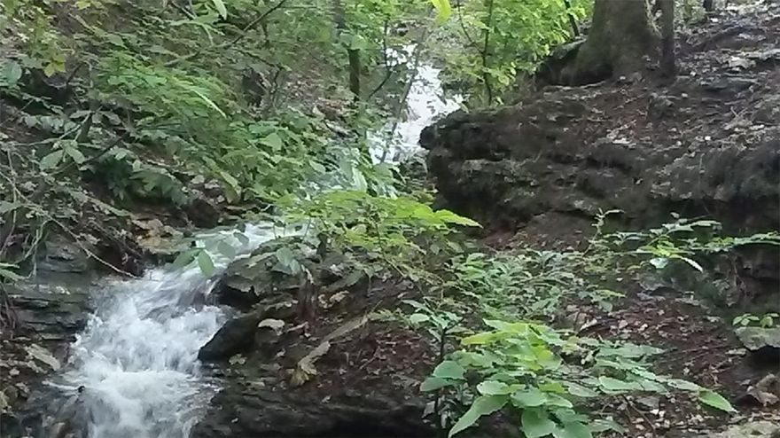 Infinity Springs is a magical property located perfectly for all that NWA offers. Complete privacy yet only mins to town. A private, gated, paved drive leads to a custom home & gatehouse nestled on 9.61 ac consisting of bluffs, woods, cave & natural spring. The patio, lounge pool & limestone bluff entertaining area overlook a natural spring w waterfalls & a tranquil sound of a babbling brook, so whether it's Spring blooms or Fall foliage this property peaks at every season! Custom cabinets, doors & closet, whole house generator, heated flrs, multiple patios, porches, deck & balconies w outdoor kitchen that includes pizza oven & gas grill built into a native limestone wall make this home unique. The 2856sf gatehouse has 3+ garages, wkshp w lift, storage & a loft/ apt  that can be used for guests or rented. Whether your looking to make this your primary home, 2nd vacation home, use as a venue or investment the possibilities are endless. Plat maps upon request