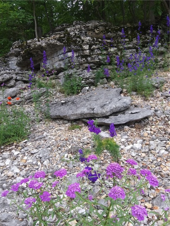 Highland Meadows - Residential