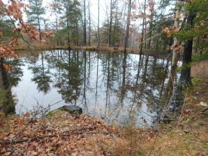 Mix of wooded land and pasture with nice building sites and 2 ponds. Location just north of Harrison only 2 to 3 miles north of Walmart and only 0.3 miles off Hwy 65 on dead end lane. Harrison city water should be available, buyer to verify..