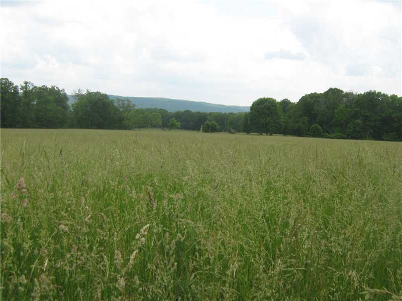 Lovely level pasture land surrounded by Ozark National forrest on 3 sides. 2 ponds. Electric on property.Fenced and cross fenced.Apx 1 mile inside Johnson county.County rd frontage.,Listing agent related to seller.