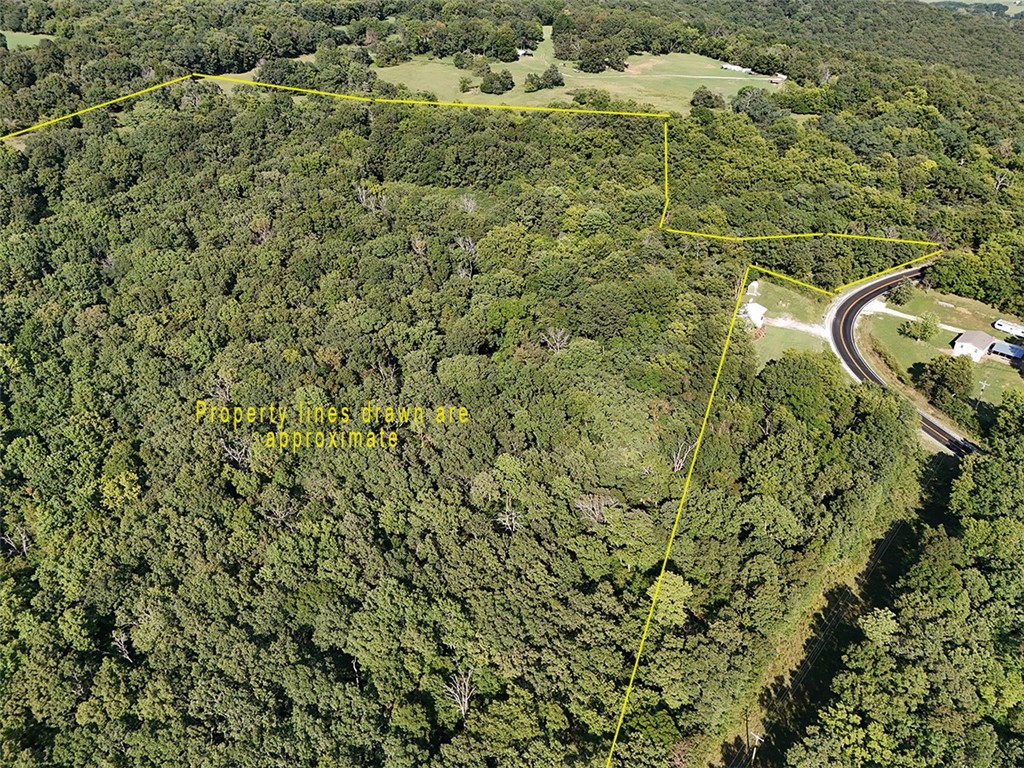 Talk about a cool piece of the Ozarks! This 51.39 acre parcel is mostly wooded, has a pond, a functional cabin with a wood stove and sleeping loft, and plenty of privacy! Use it as a recreational destination, for hunting, or build your dream place on this fantastic property. Close to town (it is 4.7 miles off 15th St on a paved road), has electricity at the property line, and water tap(s) available (per Mount Olive Water Association). No restrictions, just peace and quiet!