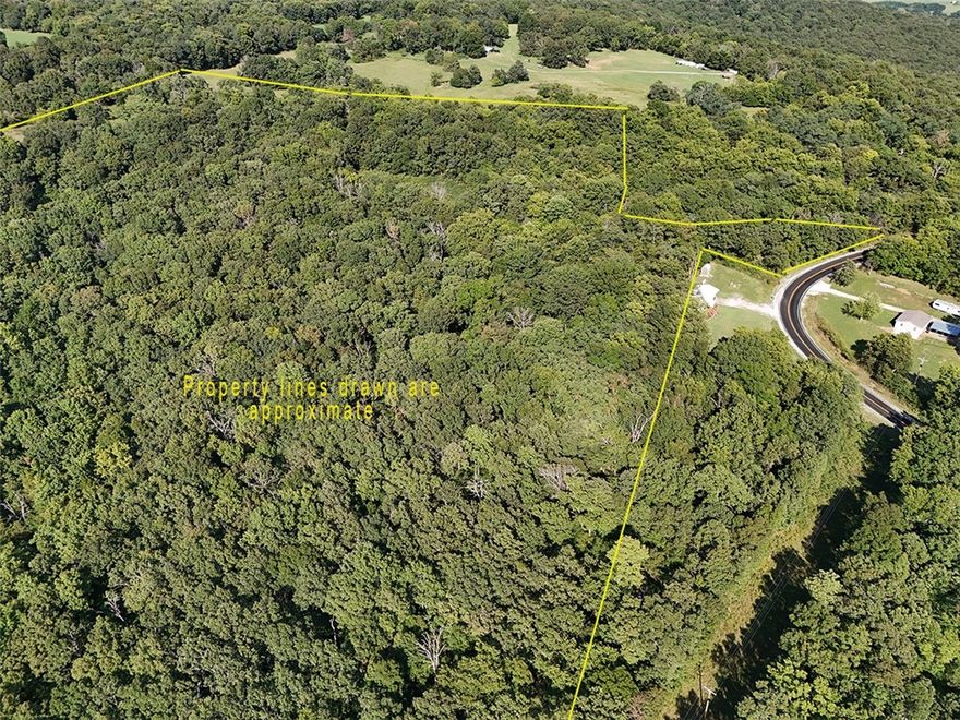 Talk about a cool piece of the Ozarks! This 51.39 acre parcel is mostly wooded, has a pond, a functional cabin with a wood stove and sleeping loft, and plenty of privacy! Use it as a recreational destination, for hunting, or build your dream place on this fantastic property. Close to town (it is 4.7 miles off 15th St on a paved road), has electricity at the property line, and water tap(s) available (per Mount Olive Water Association). No restrictions, just peace and quiet!