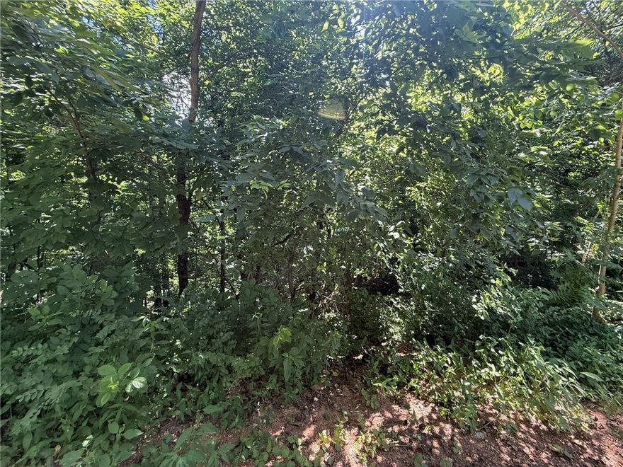 Beautiful property with exceptional country view.  Magnificent building site in the center of property.  Property is very wooded.  Mostly level except for exterior boundary of property. Small acreage with big possibilities!