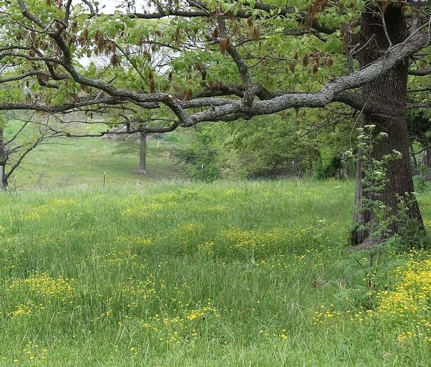 What a beautiful spot to build your dream home. Amazing sunsets await as you relax in the evenings. This property is 21 plus acres of rolling hills and several hardwood trees. There is even a spring that comes out from below a tree on the lower end of the property. Water and electrical are available at the street. Just minutes to XNA and Bentonville, yet secluded to give you that peaceful country feel. Come see this property today.