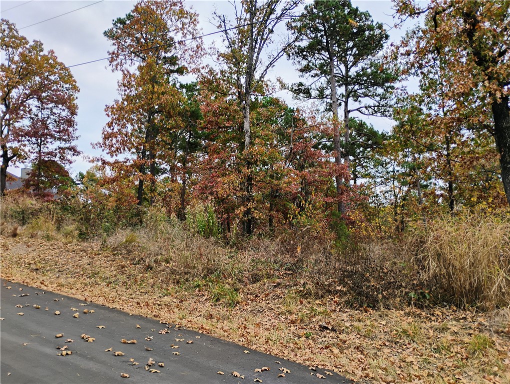 Easy access to HWY 71; Peaceful wooded views; Great property for new build.