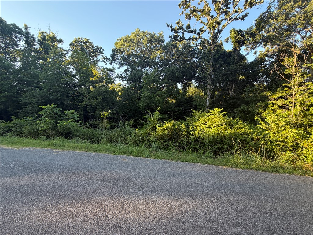 Photo 1 of 3 — Larkhall Lane, Bella Vista, AR 72715