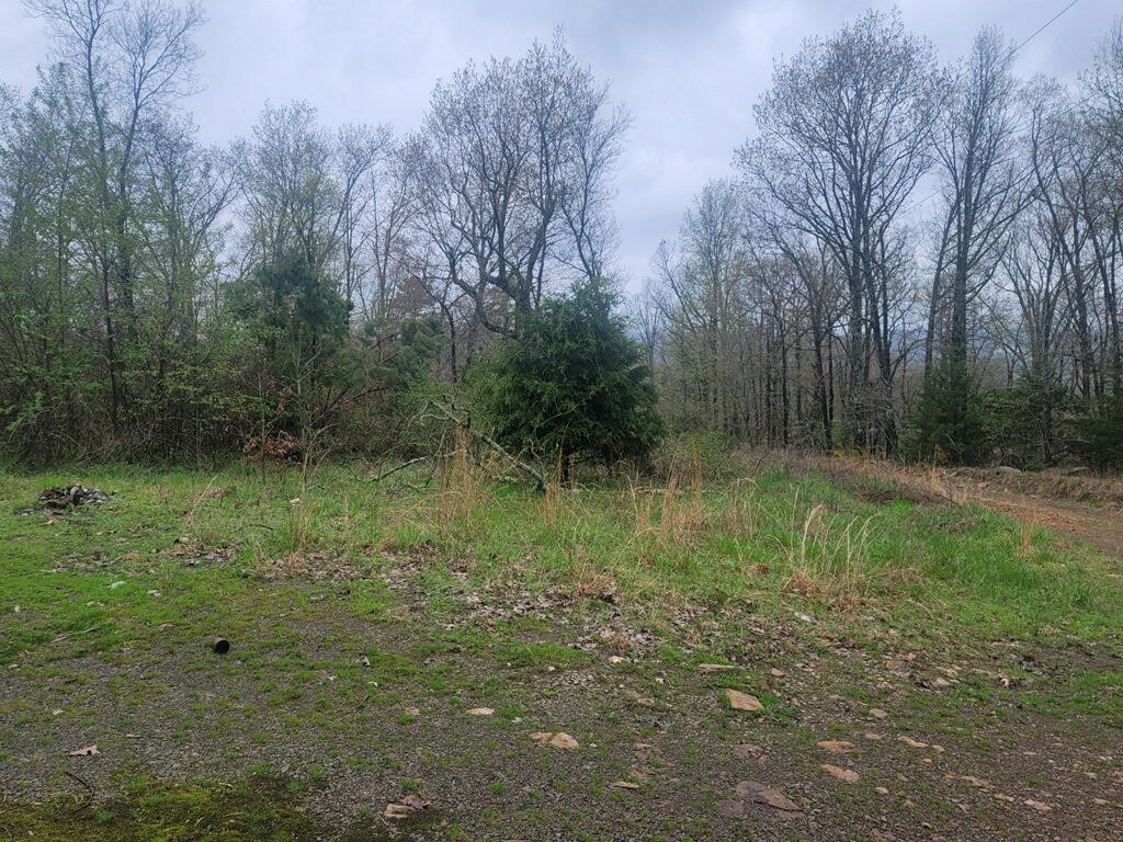 5 acres with a great fixer upper! Mostly wooded and house sits back off the road. 2 bed 2 bath approx 1200 sf with a massive attached covered carport. Make it yours! Cash or in house bank loan only.