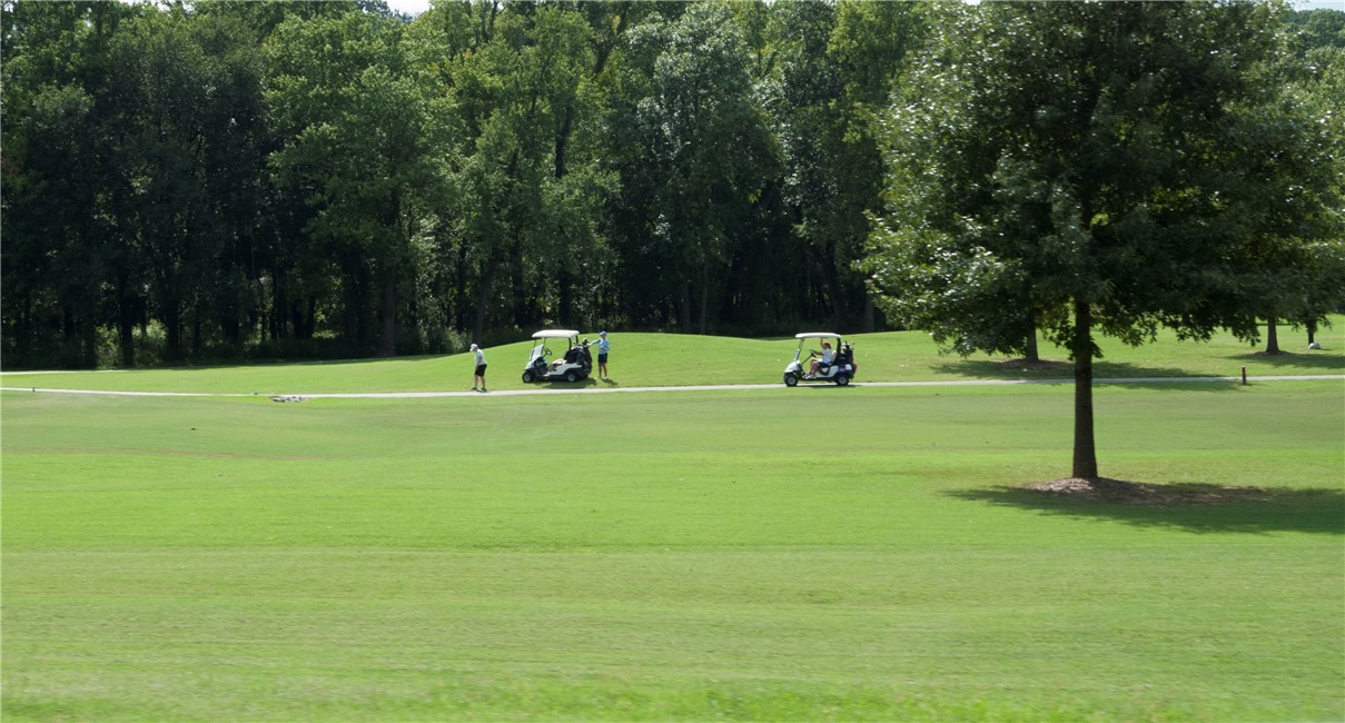 Sunderland Sub- BVV - Land