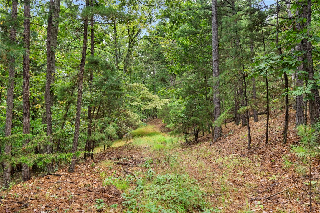 Ventris Acres Unit 1 Rurban - Land