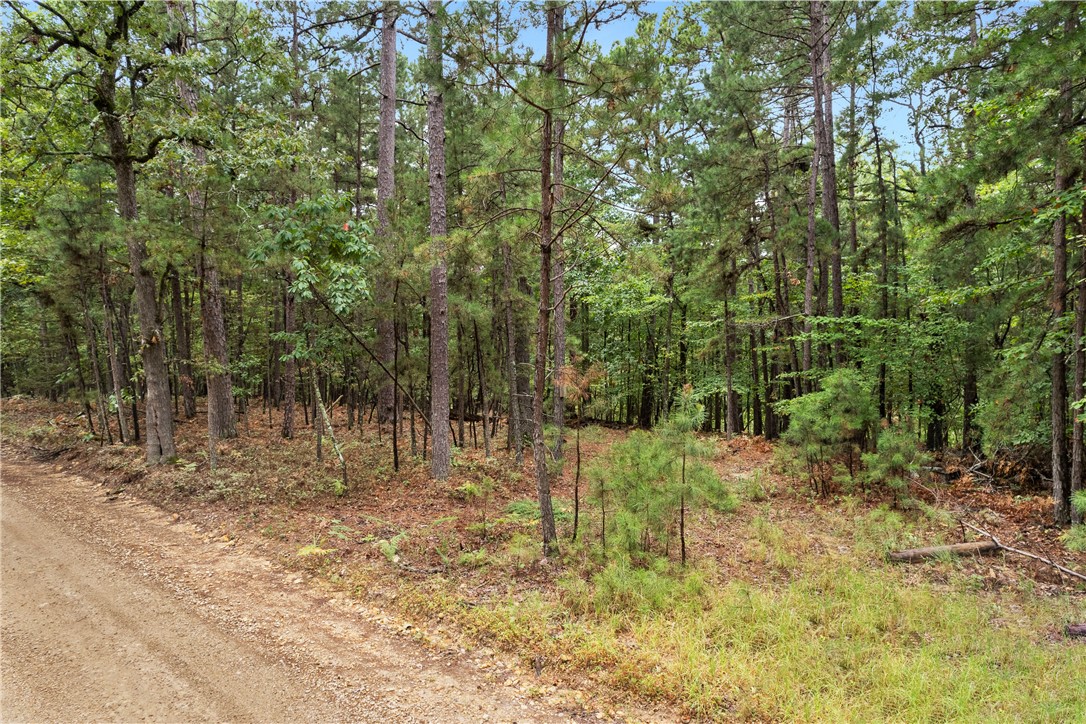 Ventris Acres Unit 1 Rurban - Land