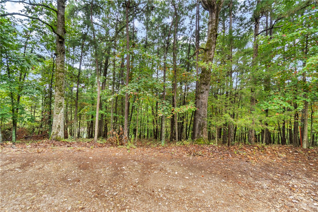 Ventris Acres Unit 1 Rurban - Land